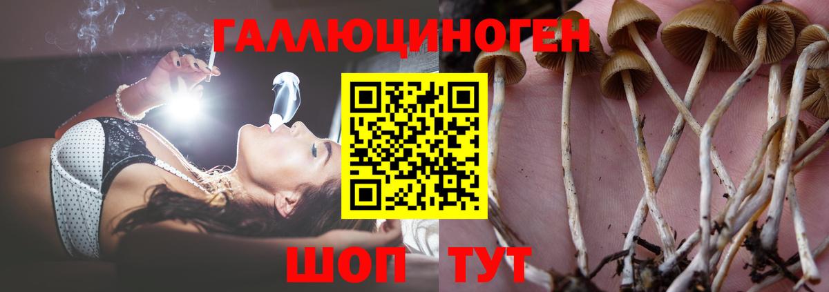 Псилоцибиновые грибы ЛСД  купить   Дзержинск  Вход с VPN 